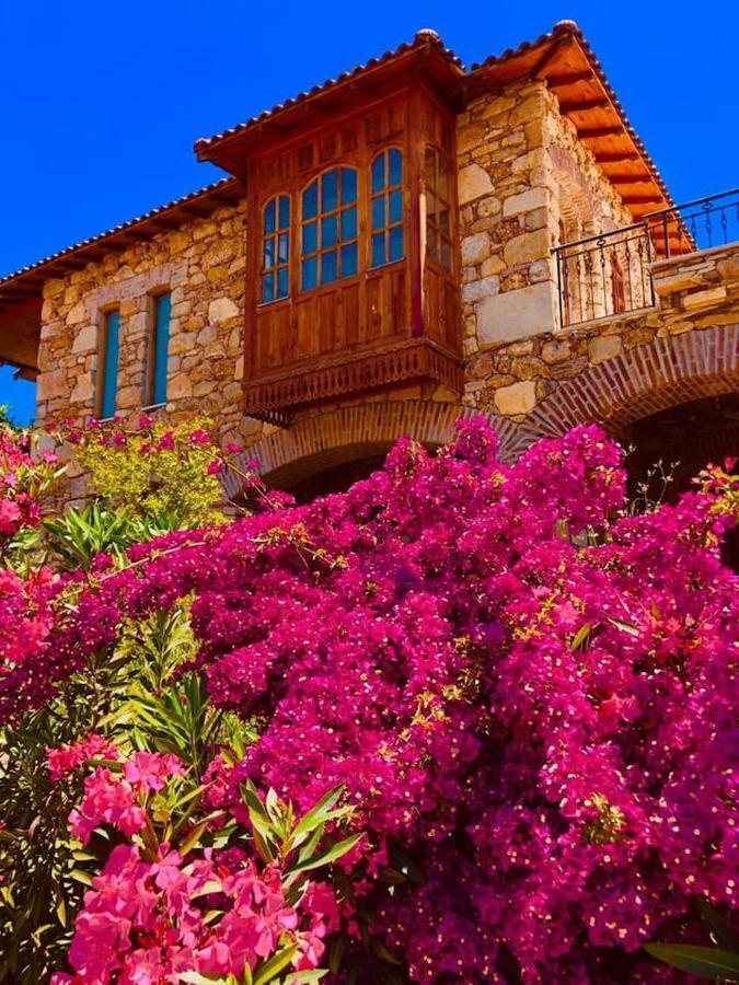 Side Cottagehause מראה חיצוני תמונה